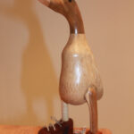 04-Canard